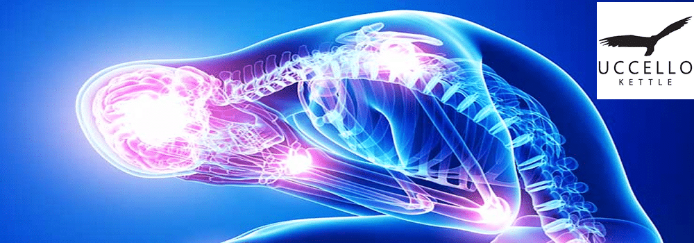 Image of Stress and Inflammation on the body