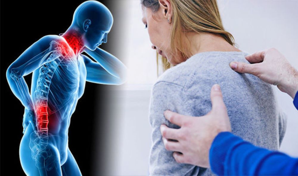 Image of Fibro